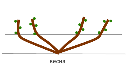 Скриншот 31-01-2018 191210.png