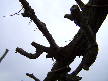 100_3083.jpg
