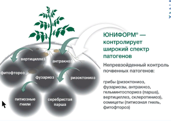 Скриншот 09-03-2018 220115.png