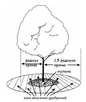 Скриншот 06-04-2018 080756.png