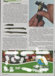 attachment (26).jpg