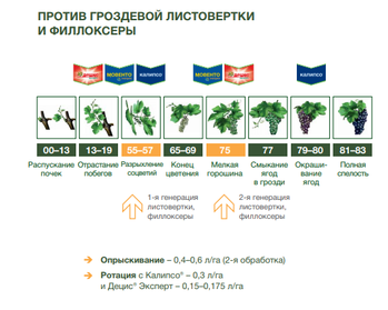 Скриншот 07-09-2018 124750.png