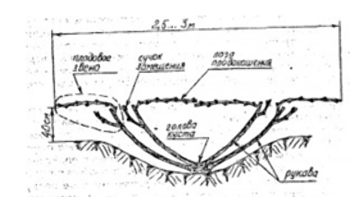 Снимок экрана (38).png