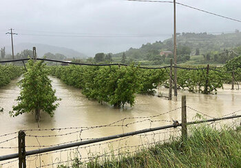 frutteti-sommersi-campagna-cesena-fonte-confagricoltura-forli-cesena-rimini.jpeg