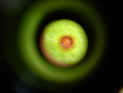 P1010251.JPG
