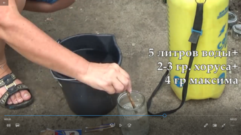 55.png