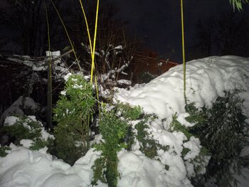 IMG_20240125_064542.jpg