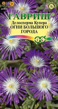 2912241.png