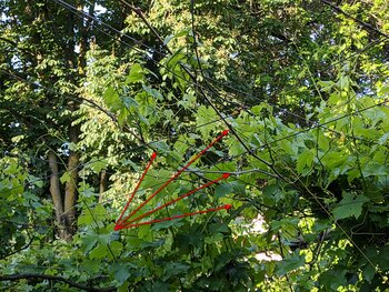 IMG_20250525_0612591.jpg