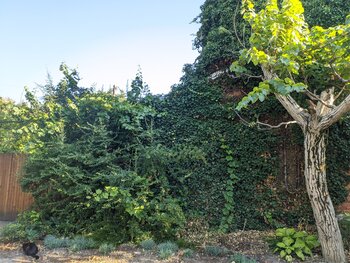 IMG_20250704_071602.jpg