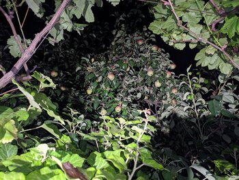 IMG_20250701_024415.jpg