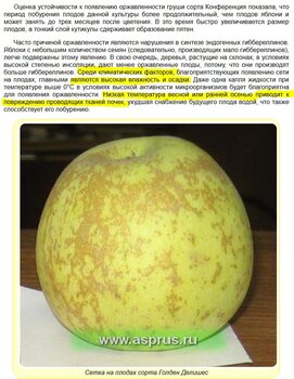 Факторы2.JPG