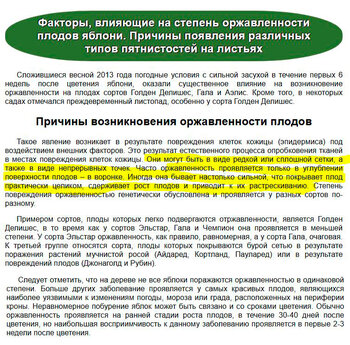 Факторы1.JPG