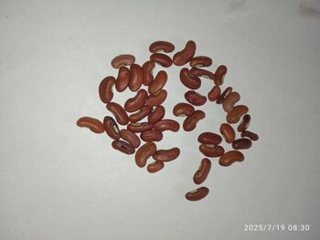 5465435417504511480.jpg