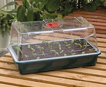 Large-Propagator-Mini-Greenhouse-Seed-Starter-Germination-Indoors.jpg
