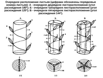 08_list-anatomy_36.jpg