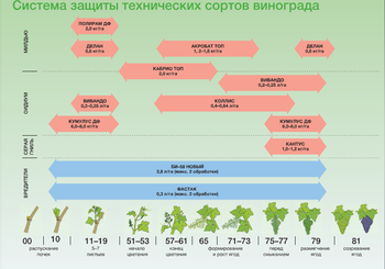 Скриншот 14-03-2017 092515.png